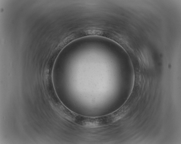 X0000085010263200703051254