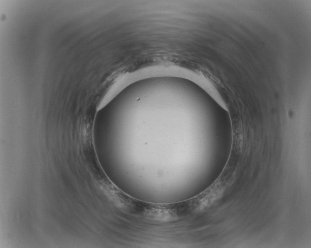 X0000085010276200703051255