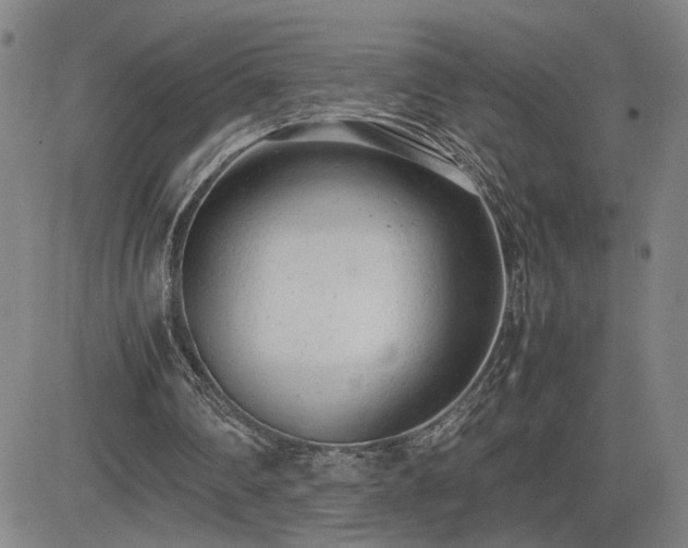 X0000085010290200703051254
