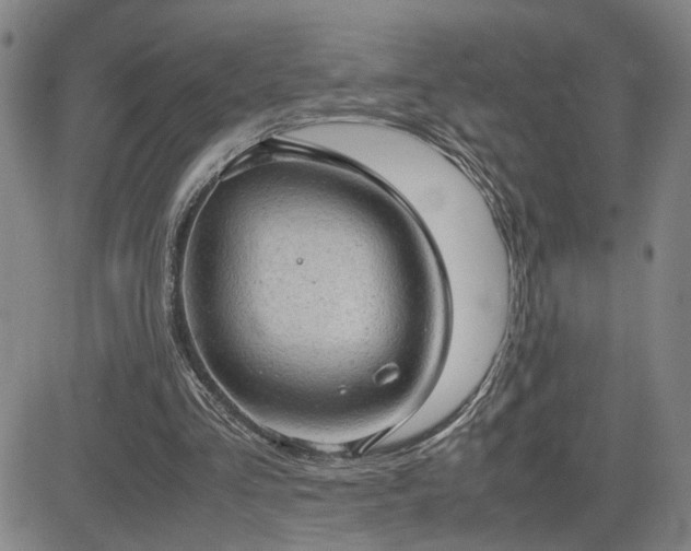 X0000085010293200703051254