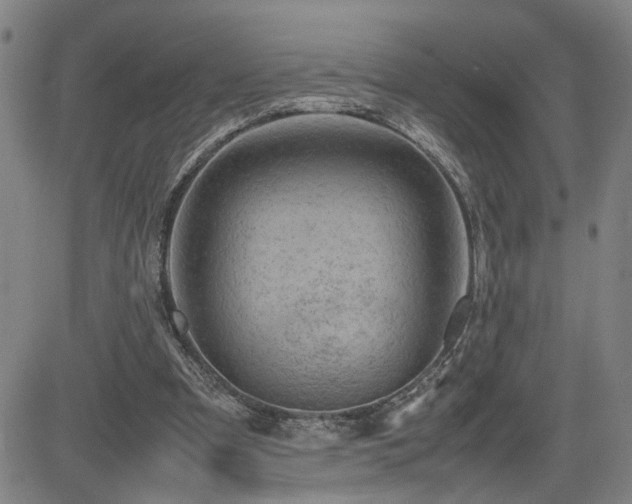 X0000085010297200703051254