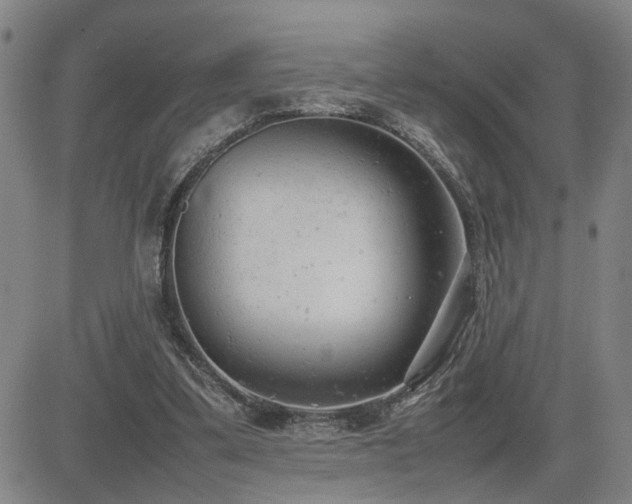 X0000085010299200703051254
