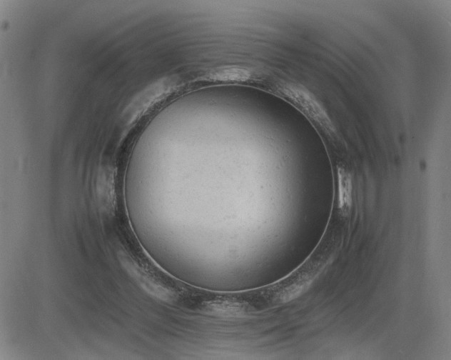 X0000085010300200703051254