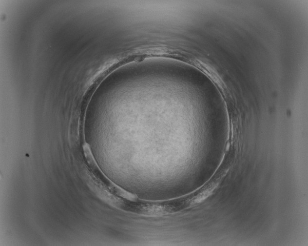 X0000085010301200703051254