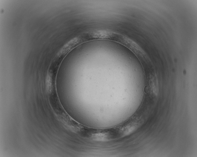 X0000085010312200703051254
