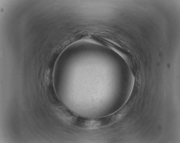 X0000085010319200703051254