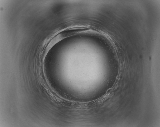 X0000085010337200703051253