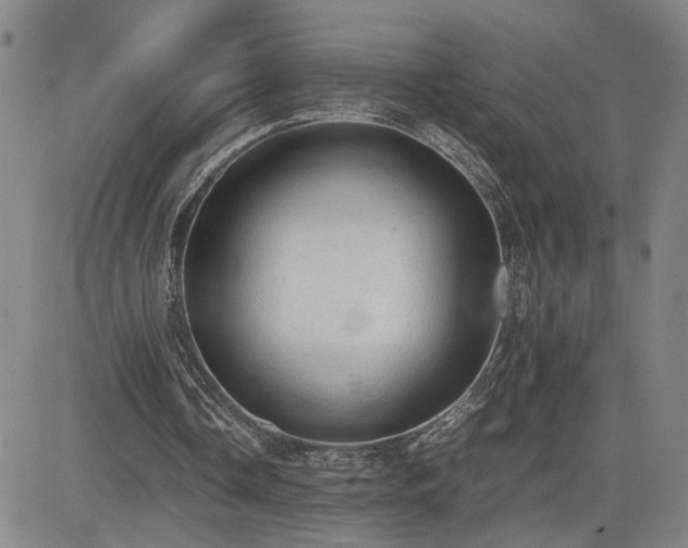 X0000085010338200703051253