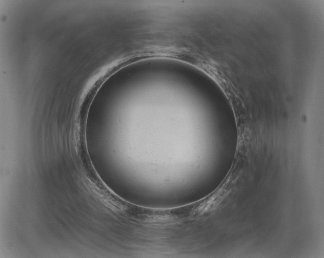 X0000085010342200703051253