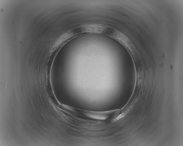 X0000085010349200703051253
