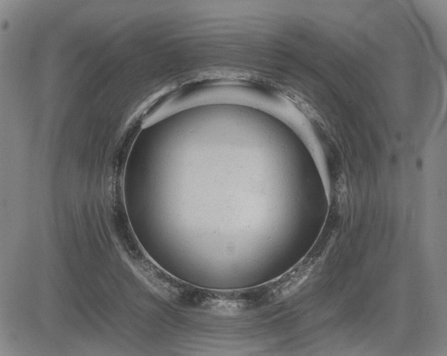 X0000085010352200703051253