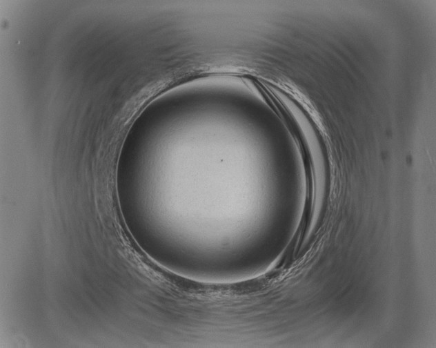 X0000085010385200703051253