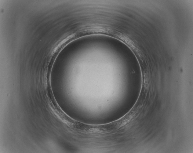X0000085010390200703051252