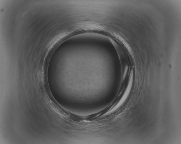 X0000085010391200703051252