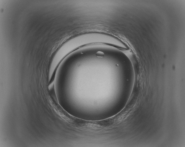 X0000085010393200703051252