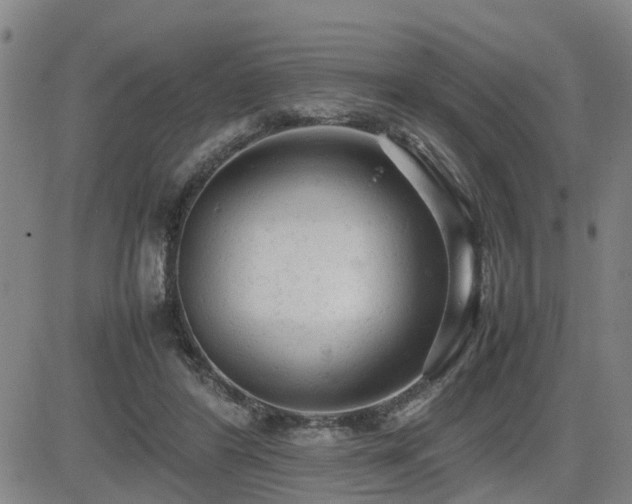 X0000085010404200703051252