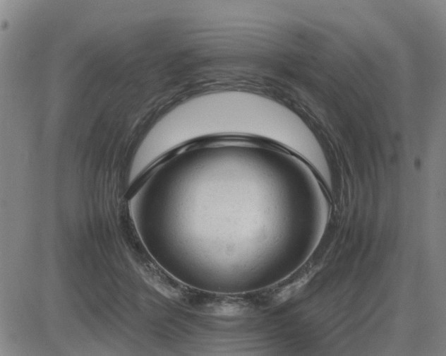 X0000085010412200703051252