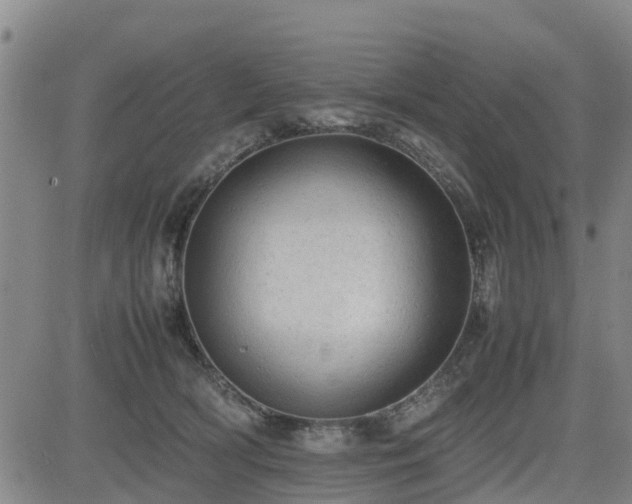 X0000085010418200703051252