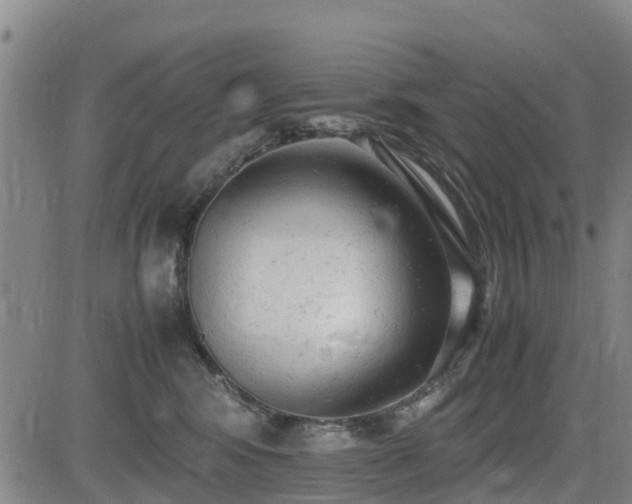 X0000085010424200703051252