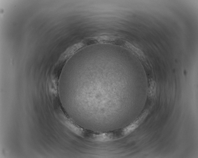 X0000085010430200703051252