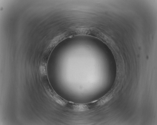 X0000085010432200703051252