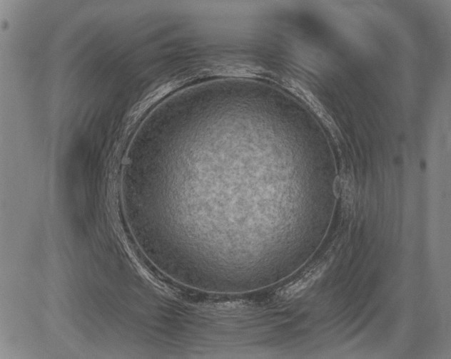 X0000085010433200703051251
