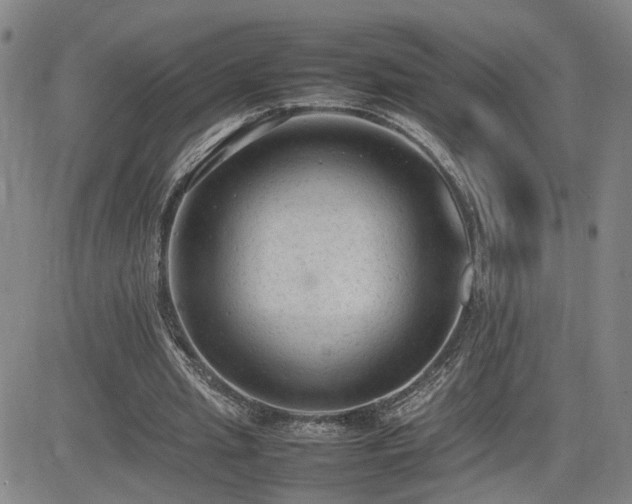 X0000085010437200703051251