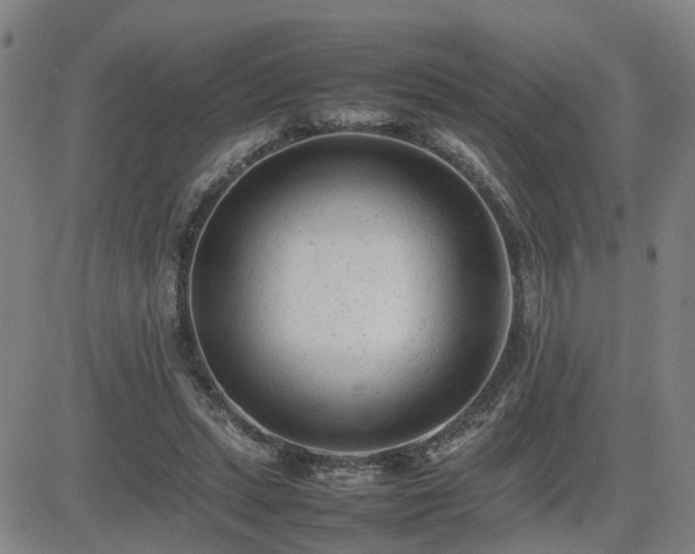 X0000085010447200703051251