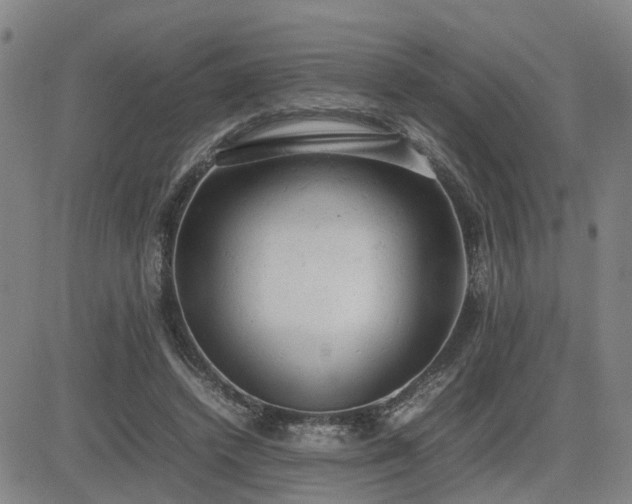 X0000085010448200703051251
