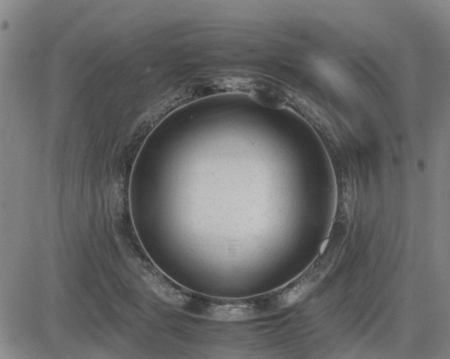 X0000085010461200703051251