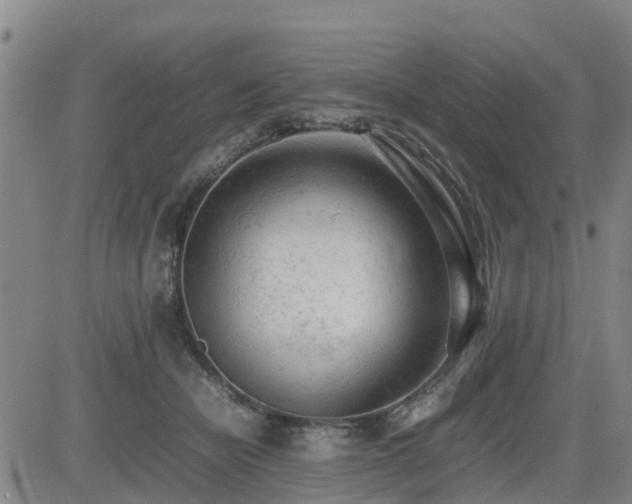 X0000085010462200703051251