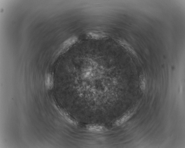 X0000085010471200703051252