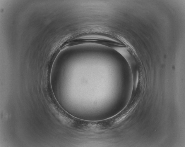 X0000085010493200703051251