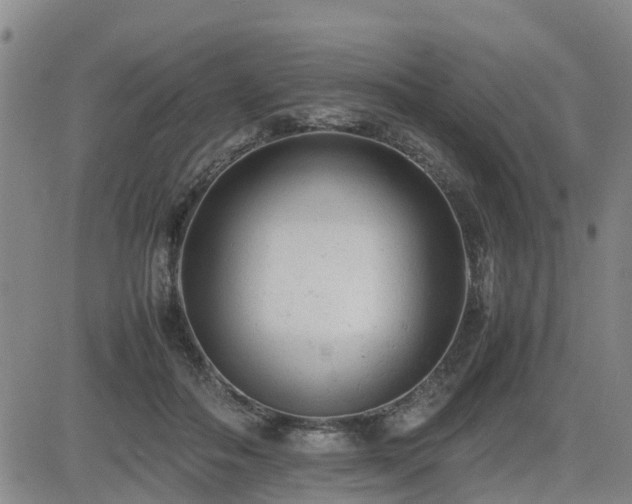 X0000085010506200703051250