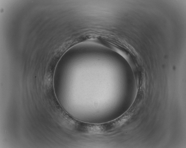 X0000085010513200703051250