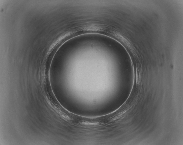 X0000085010531200703051249
