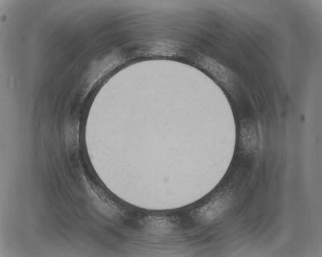 X0000085010534200703051249