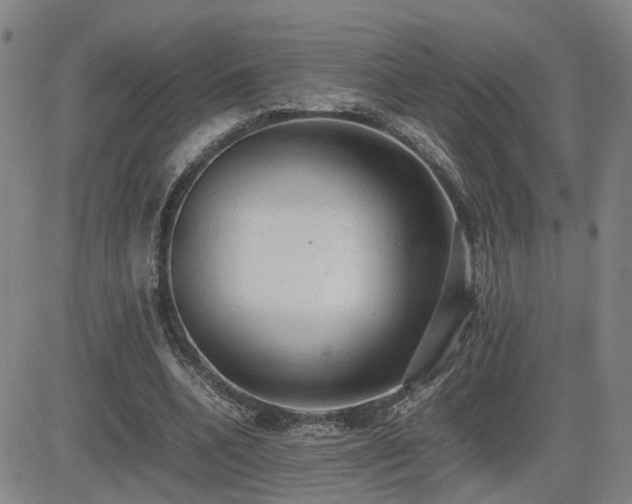 X0000085010536200703051249