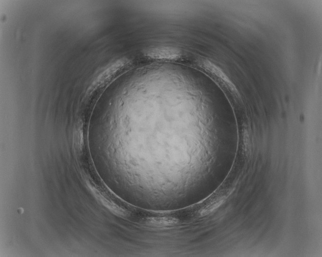 X0000085010541200703051250