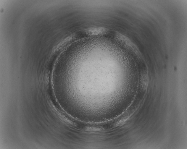 X0000085010545200703051250