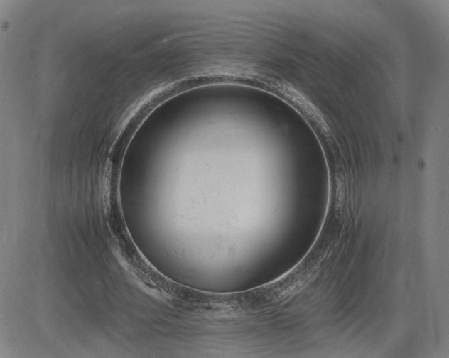 X0000085010580200703051249