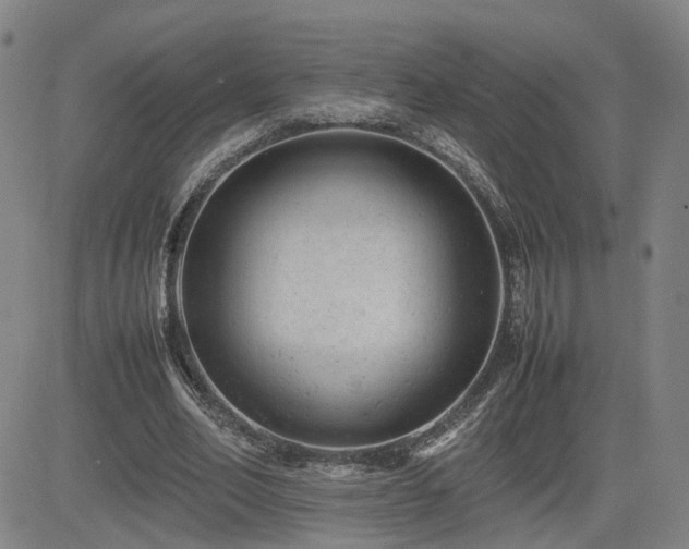 X0000085010582200703051249