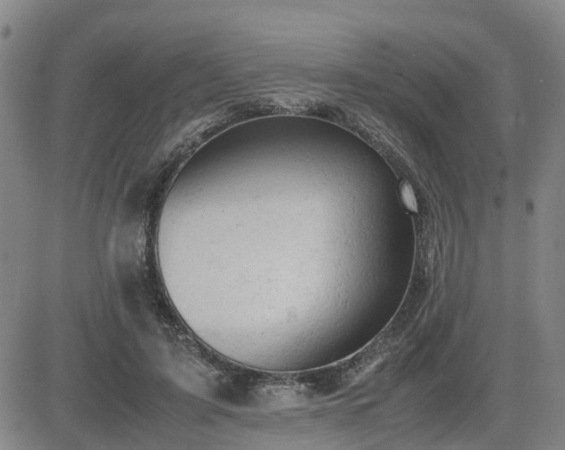X0000085010595200703051249
