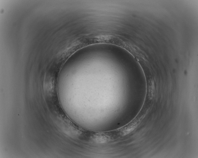 X0000085010608200703051249