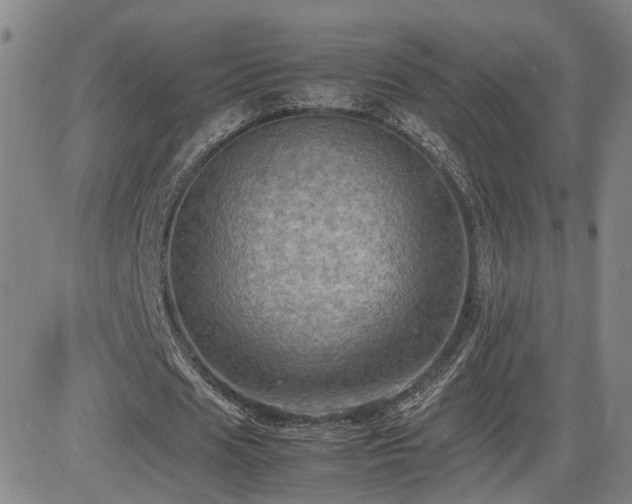 X0000085010625200703051248