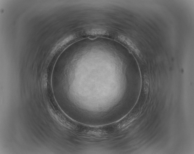 X0000085010631200703051248