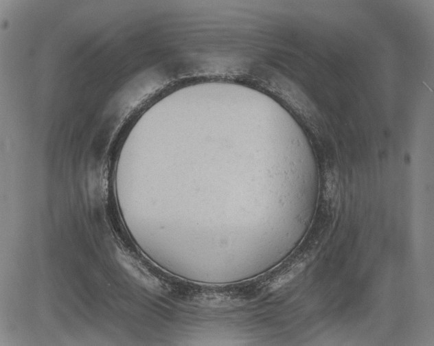X0000085010632200703051248