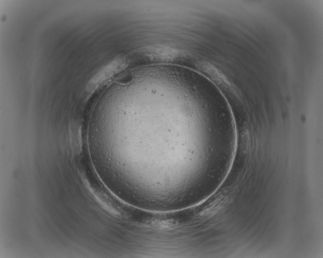 X0000085010638200703051248