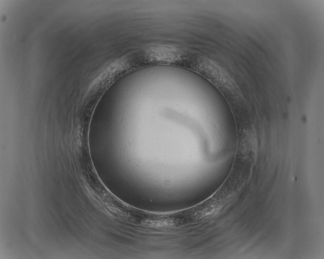 X0000085010639200703051248
