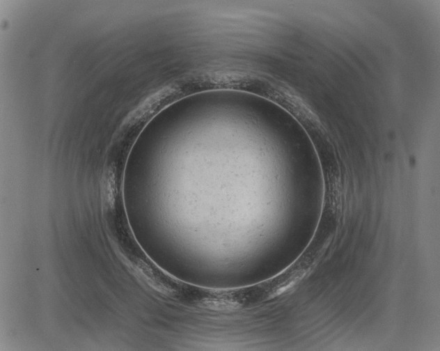 X0000085010644200703051248